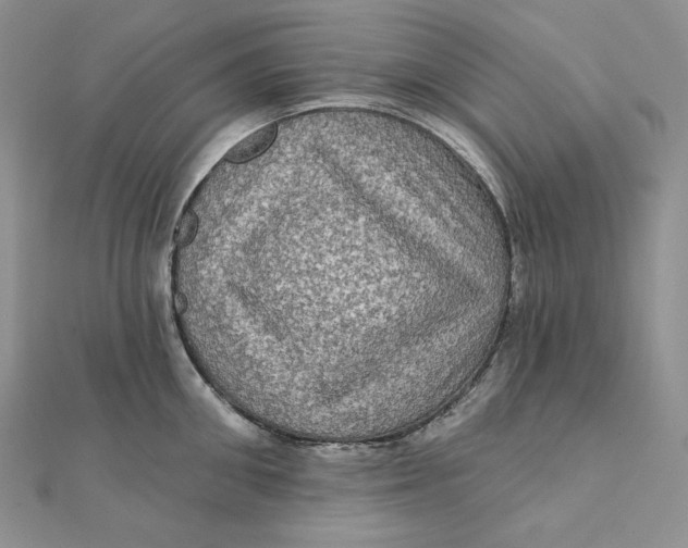 X0000112350906200909031846