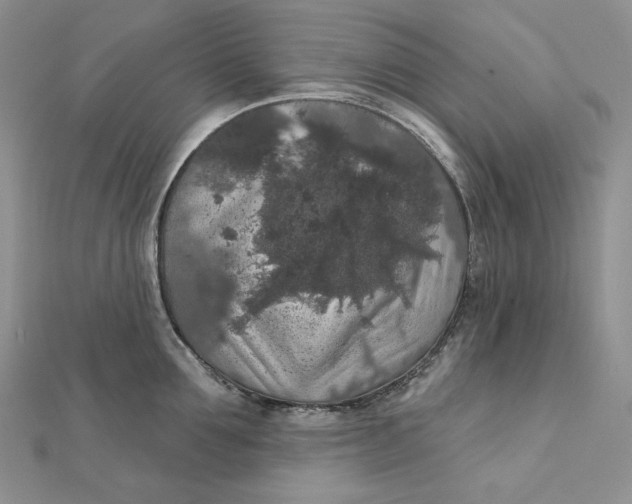 X0000112350907200909031846