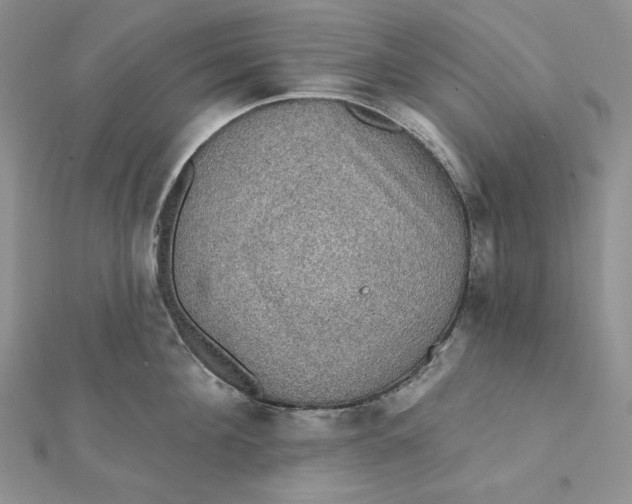 X0000112350908200909031846