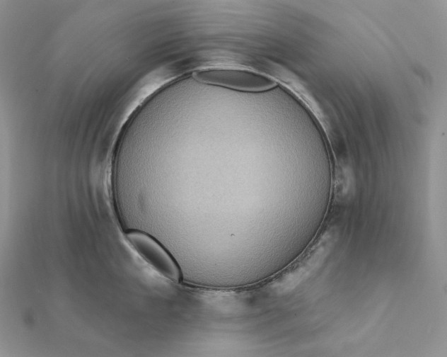 X0000112350909200909031846