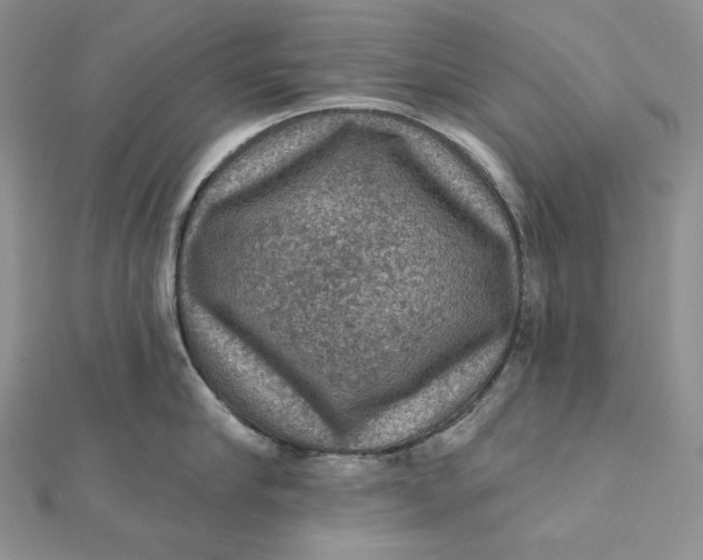 X0000112350910200909031846