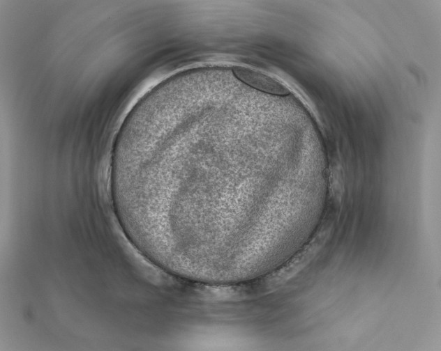 X0000112350911200909031846