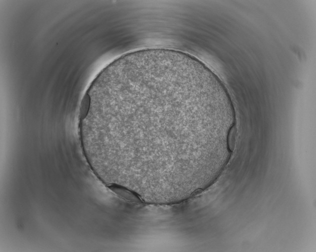 X0000112350912200909031846