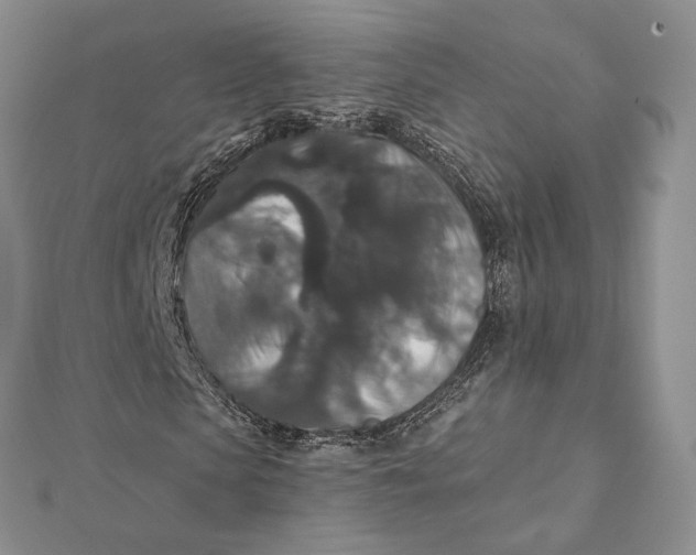 X0000112350913200909031846