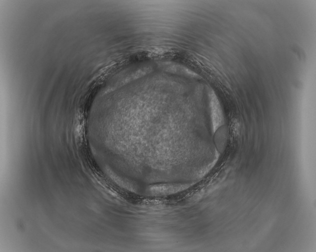 X0000112350914200909031846