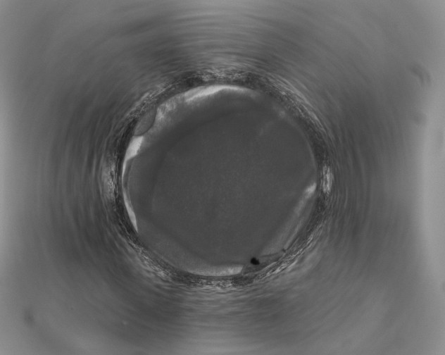 X0000112350915200909031846