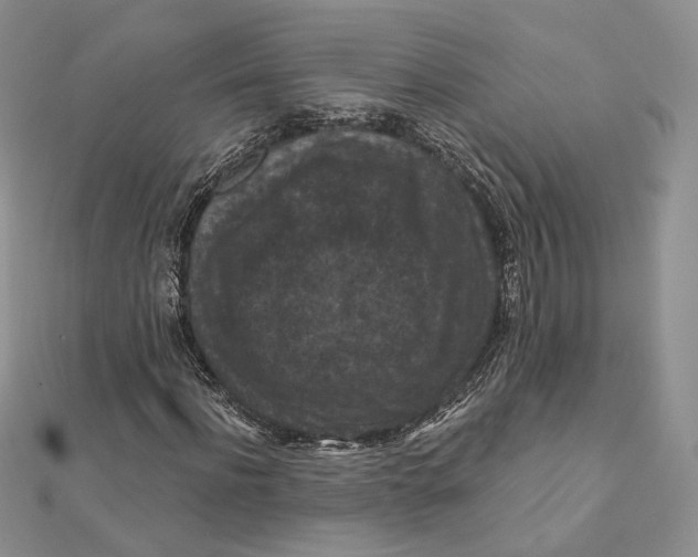 X0000112350916200909031846