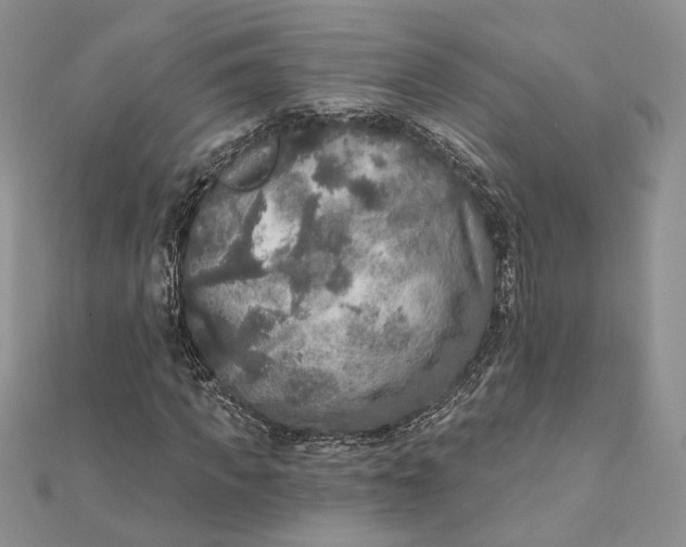 X0000112350917200909031846