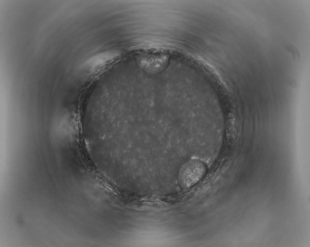 X0000112350918200909031846