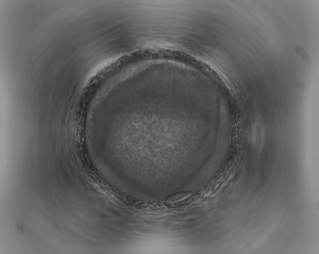 X0000112350919200909031846