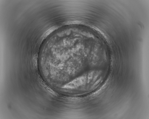 X0000112350921200909031846