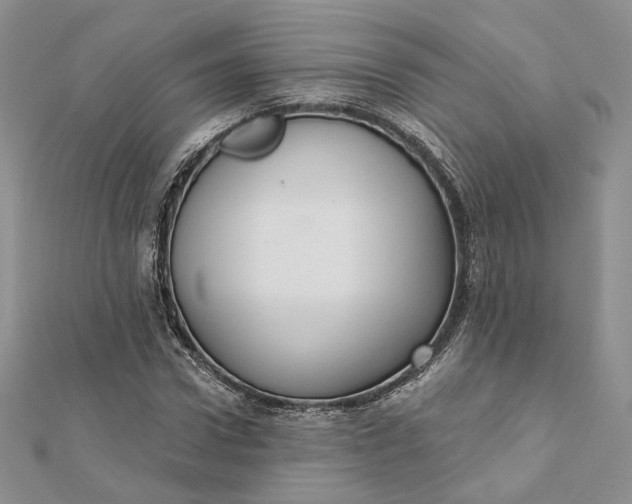 X0000112350922200909031846