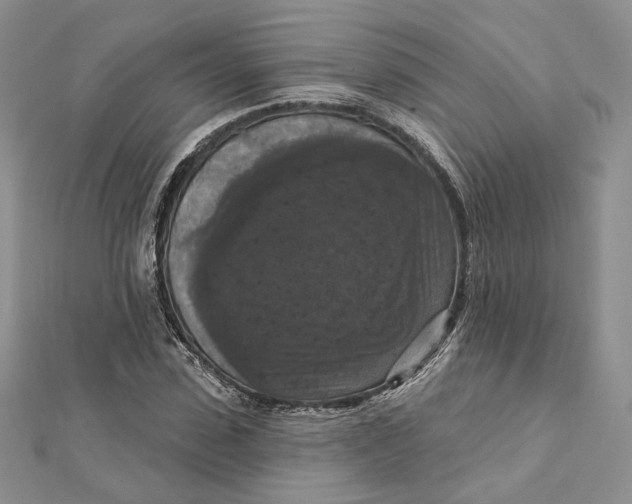 X0000112350923200909031846