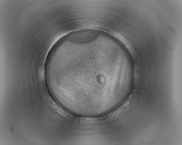 X0000112350924200909031846