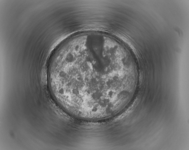 X0000112350925200909031846