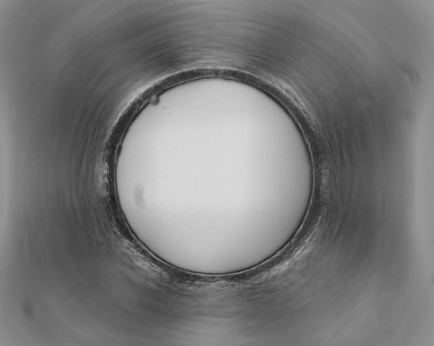 X0000112350926200909031846