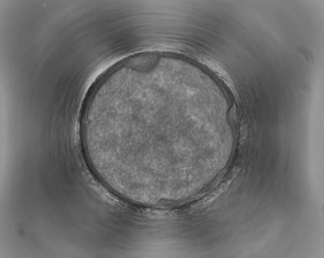 X0000112350928200909031846