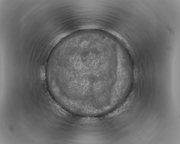 X0000112350929200909031846