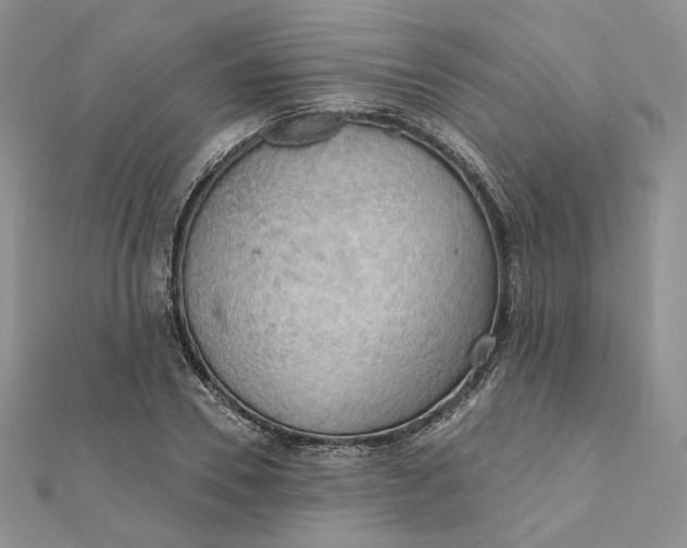 X0000112350930200909031846