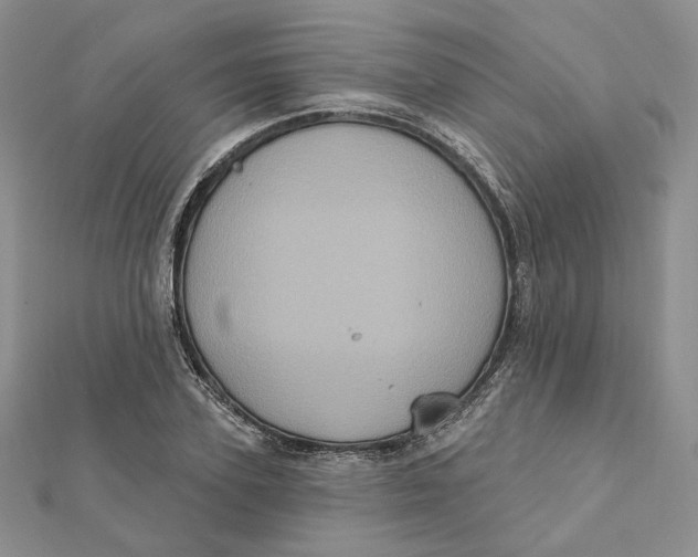 X0000112350931200909031846