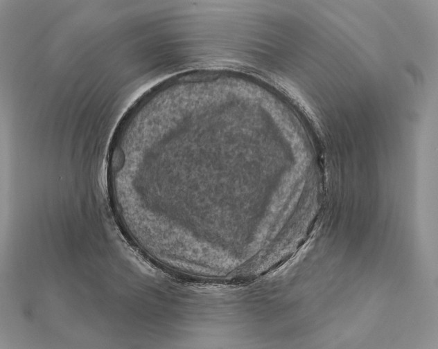 X0000112350932200909031846