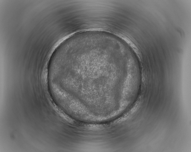 X0000112350933200909031846