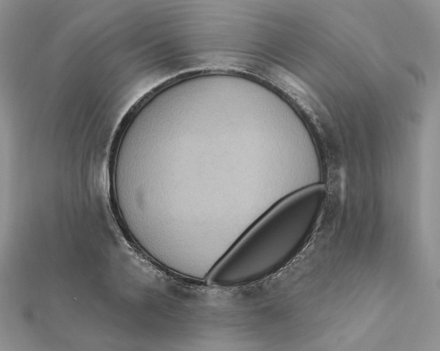 X0000112350936200909031846