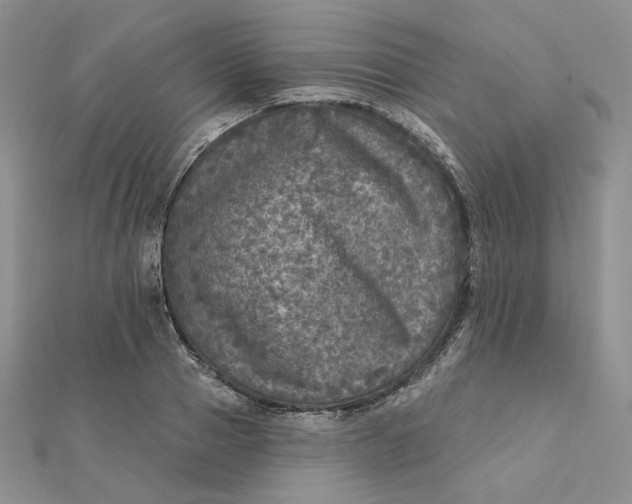 X0000112350937200909031846