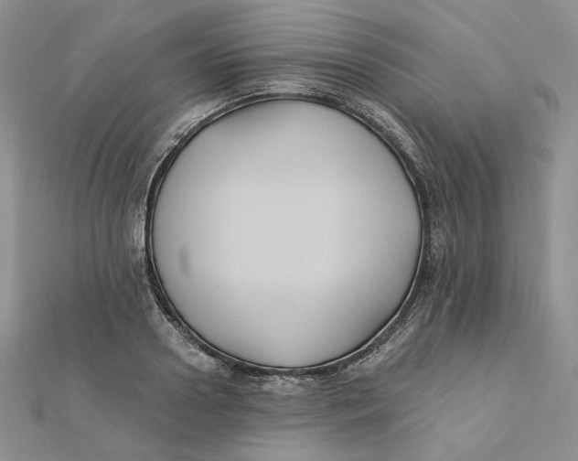 X0000112350938200909031846