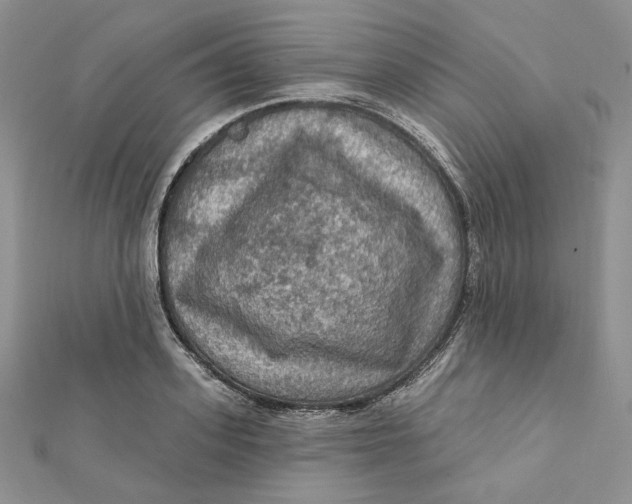 X0000112350939200909031846