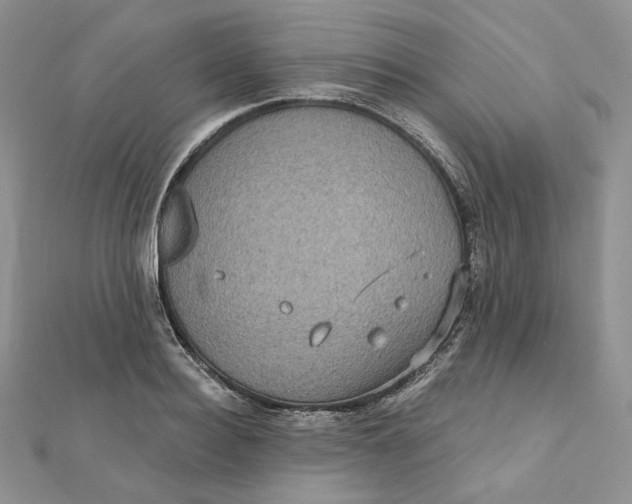 X0000112350940200909031846