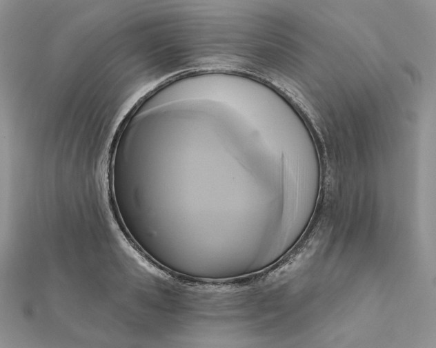 X0000112350941200909031846