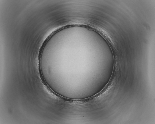 X0000112350942200909031846