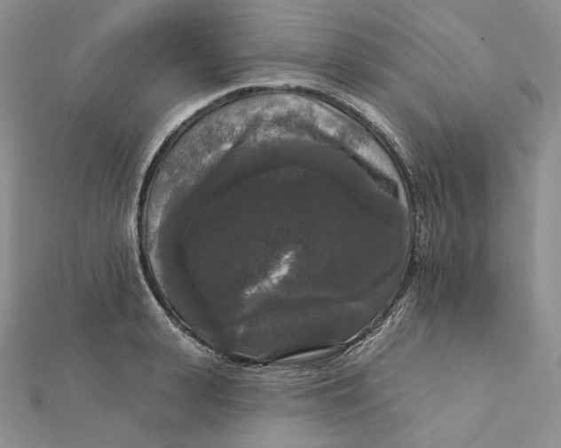 X0000112350943200909031846