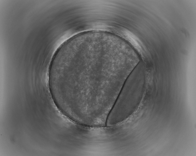 X0000112350944200909031846