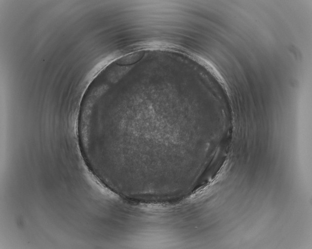 X0000112350946200909031846