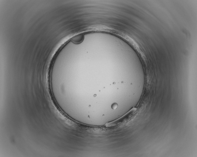 X0000112350947200909031846