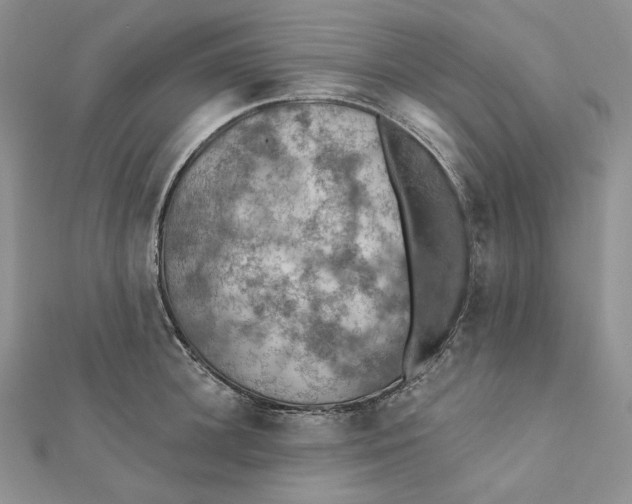 X0000112350948200909031846