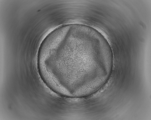 X0000112350949200909031846