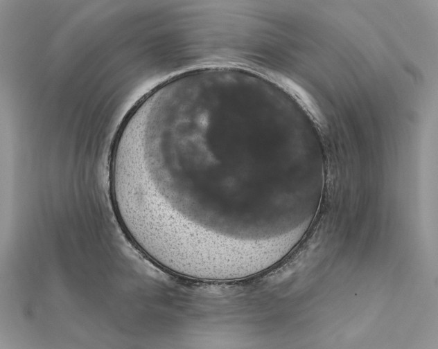 X0000112350950200909031846