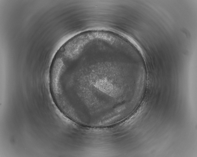 X0000112350951200909031846