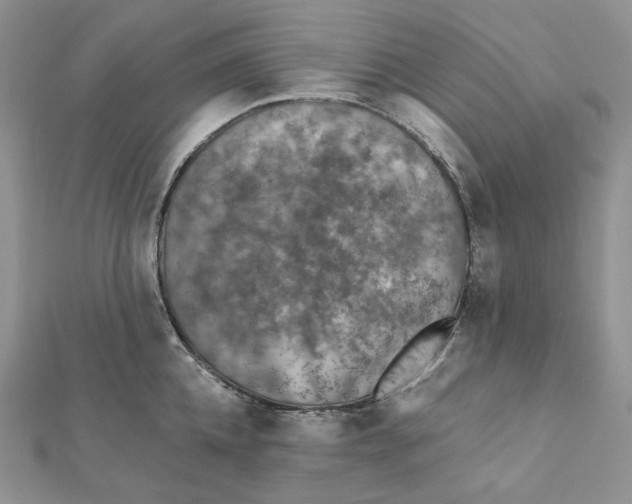 X0000112350952200909031846