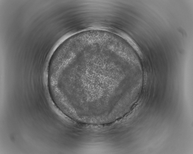 X0000112350955200909031846