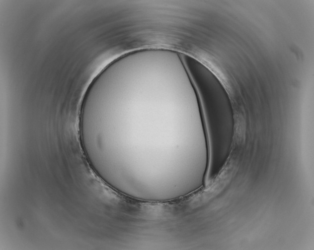 X0000112350956200909031846