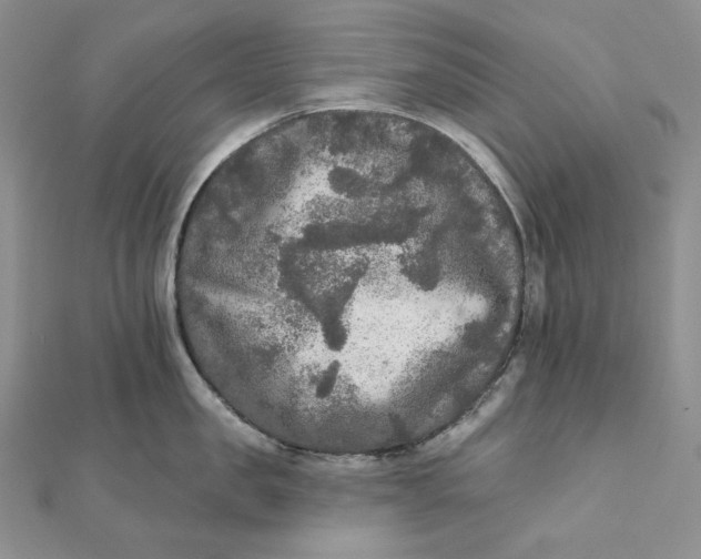 X0000112350957200909031846