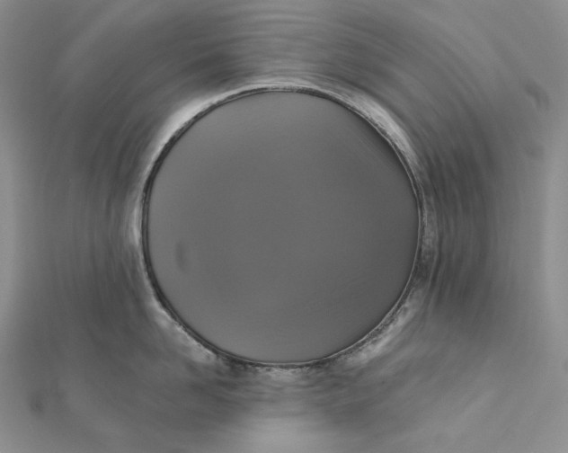 X0000112350958200909031846