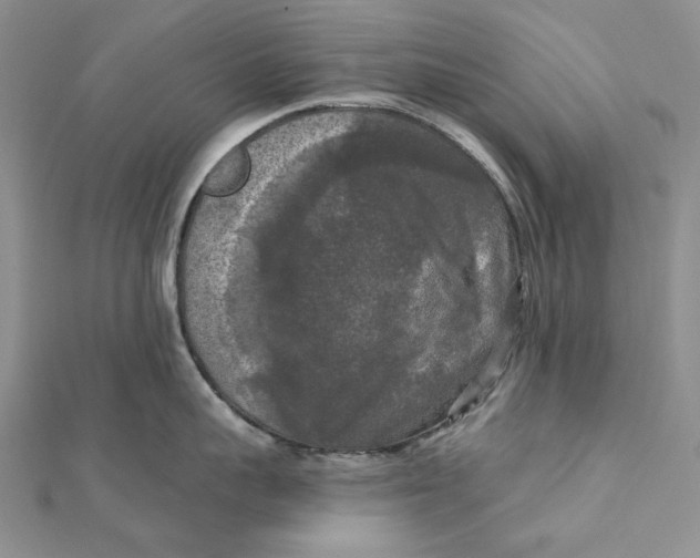 X0000112350959200909031846