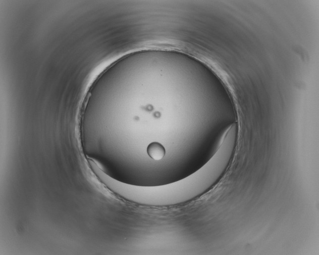 X0000112350960200909031846