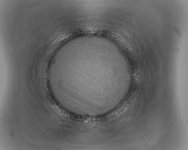 X0000112350961200909031846