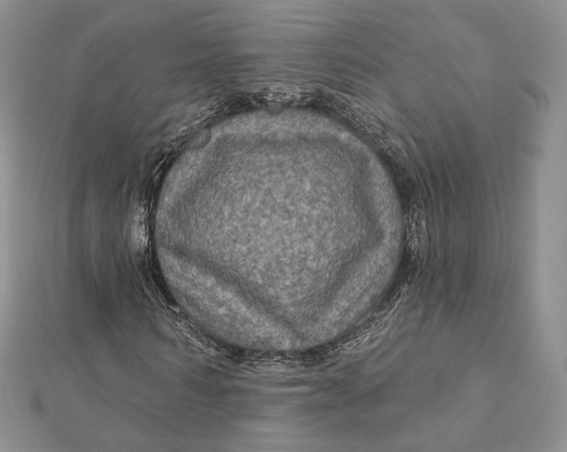 X0000112350962200909031846